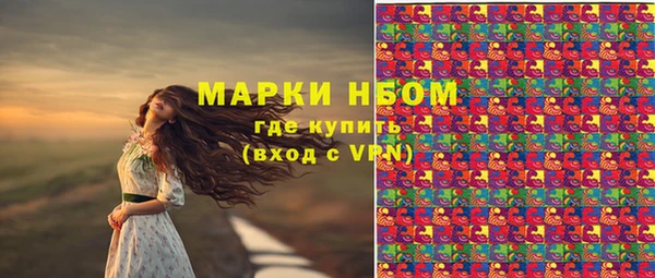 твердый Алексин