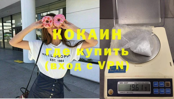 гашик Алзамай
