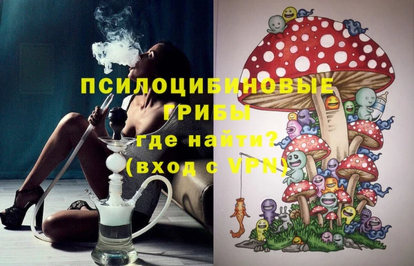 твердый Алексин