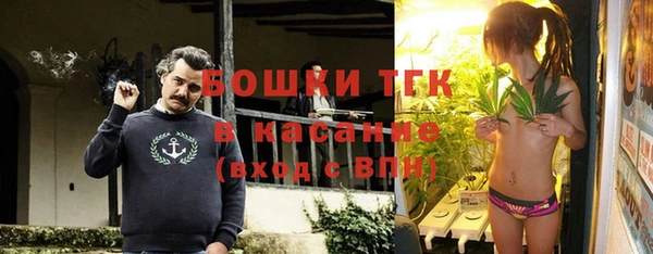гашик Алзамай